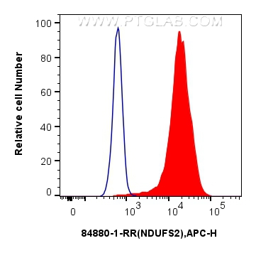 Flow cytometry (FC) experiment of HeLa cells using NDUFS2 Recombinant antibody (84880-1-RR)