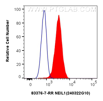 Flow cytometry (FC) experiment of HEK-293 cells using NEIL1 Recombinant antibody (83376-7-RR)