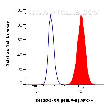 Flow cytometry (FC) experiment of A431 cells using NELF-B Recombinant antibody (84135-2-RR)