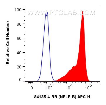 Flow cytometry (FC) experiment of BxPC-3 cells using NELFB Recombinant antibody (84135-4-RR)