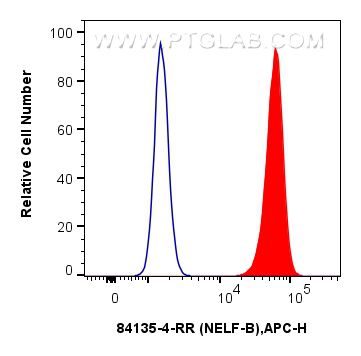 Flow cytometry (FC) experiment of A431 cells using NELFB Recombinant antibody (84135-4-RR)