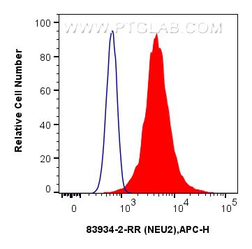 Flow cytometry (FC) experiment of A549 cells using NEU2 Recombinant antibody (83934-2-RR)