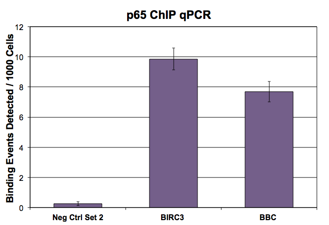 NFkB p65 (pAb) tested by ChIP. ChIP was performed using the ChIP-IT High Sensitivity Kit (Cat. No. 53040) with 2 million HT29 cells treated with TNF and 10 ul of p65 antibody. ChIP DNA was used in qPCR with the negative control primer pair or gene-specific primer pairs as indicated. Data are presented as Binding Events Detected per 1000 Cells using Active Motif's Epigenetic Services normalization scheme which accounts for primer efficiency and the amount of chromatin used in the ChIP reaction.