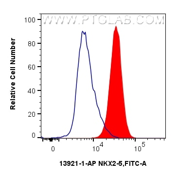 Flow cytometry (FC) experiment of HepG2 cells using NKX2-5 Polyclonal antibody (13921-1-AP)