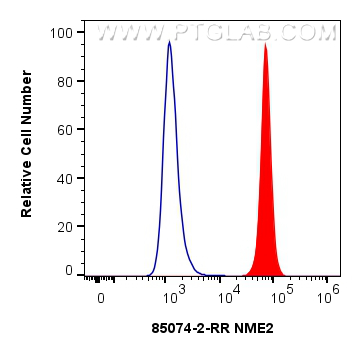 Flow cytometry (FC) experiment of HEK-293T cells using NME2 Recombinant antibody (85074-2-RR)