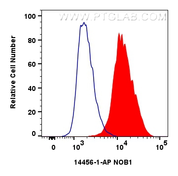 Flow cytometry (FC) experiment of Jurkat cells using NOB1 Polyclonal antibody (14456-1-AP)