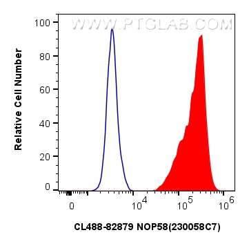 Flow cytometry (FC) experiment of HeLa cells using CoraLite® Plus 488-conjugated NOP58 Recombinant an (CL488-82879)