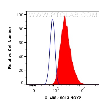 Flow cytometry (FC) experiment of RAW 264.7 cells using CoraLite® Plus 488-conjugated NOX2 Polyclonal anti (CL488-19013)