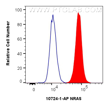 Flow cytometry (FC) experiment of HepG2 cells using NRAS Polyclonal antibody (10724-1-AP)