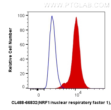 Flow cytometry (FC) experiment of HepG2 cells using CoraLite® Plus 488-conjugated NRF1/nuclear respira (CL488-66832)