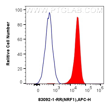 Flow cytometry (FC) experiment of HEK-293T cells using NRF1/nuclear respiratory factor 1 Recombinant anti (83092-1-RR)