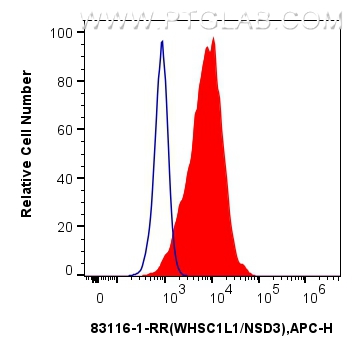 Flow cytometry (FC) experiment of HeLa cells using NSD3 Recombinant antibody (83116-1-RR)