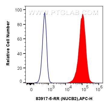 NUCB2/nesfatin-1