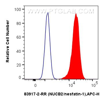 NUCB2/nesfatin-1