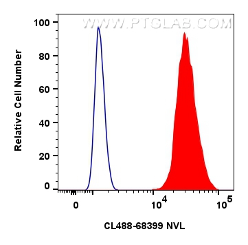 Flow cytometry (FC) experiment of HeLa cells using CoraLite® Plus 488-conjugated NVL Monoclonal antib (CL488-68399)