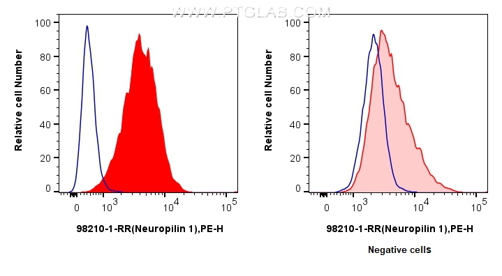 Flow cytometry (FC) experiment of HUVEC cells using Anti-Human Neuropilin 1/CD304 Rabbit Recombinant A (98210-1-RR)