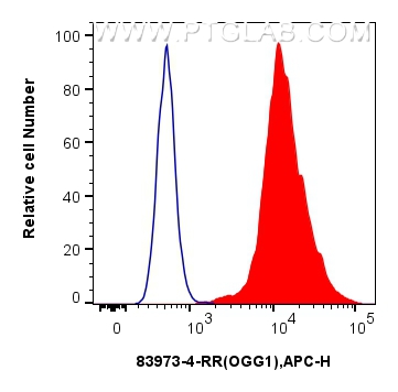 Flow cytometry (FC) experiment of HeLa cells using OGG1 Recombinant antibody (83973-4-RR)