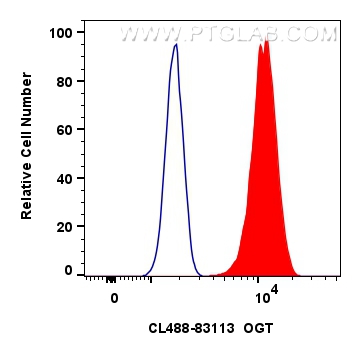 Flow cytometry (FC) experiment of HeLa cells using CoraLite® Plus 488-conjugated OGT Recombinant anti (CL488-83113)