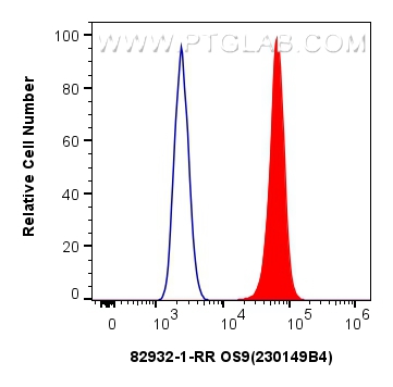 Flow cytometry (FC) experiment of HeLa cells using OS9 Recombinant antibody (82932-1-RR)