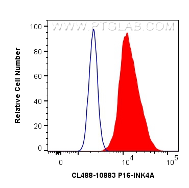 Flow cytometry (FC) experiment of HeLa cells using CoraLite® Plus 488-conjugated P16-INK4A Polyclonal (CL488-10883)