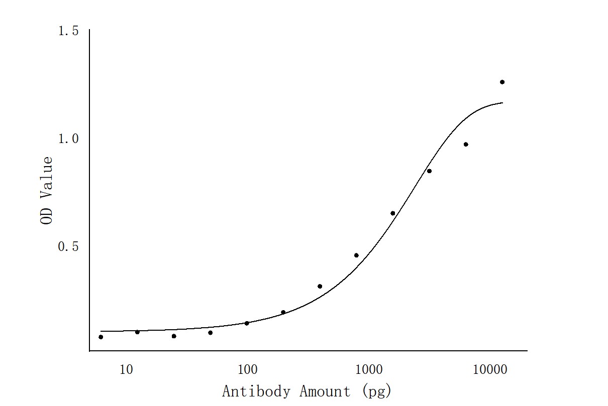 ELISA experiment of FusionProtein using P54 of ASFV Polyclonal antibody (29511-1-AP)