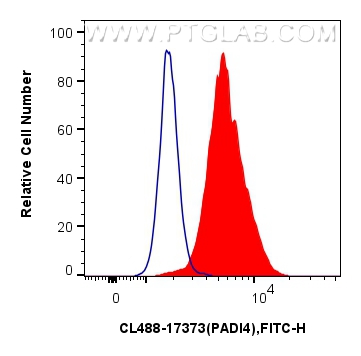 Flow cytometry (FC) experiment of HeLa cells using CoraLite® Plus 488-conjugated PADI4 Polyclonal ant (CL488-17373)