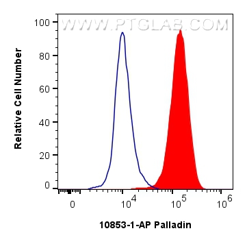 Flow cytometry (FC) experiment of HeLa cells using Palladin Polyclonal antibody (10853-1-AP)