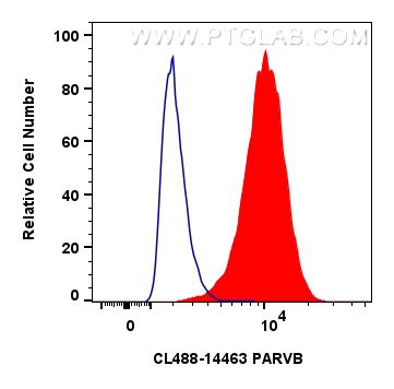 Flow cytometry (FC) experiment of HeLa cells using CoraLite® Plus 488-conjugated PARVB Polyclonal ant (CL488-14463)