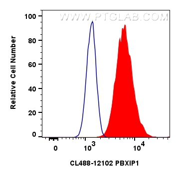 Flow cytometry (FC) experiment of HeLa cells using CoraLite® Plus 488-conjugated PBXIP1 Polyclonal an (CL488-12102)