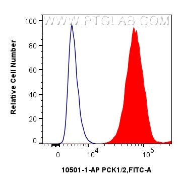 Flow cytometry (FC) experiment of HepG2 cells using PCK1/2 Polyclonal antibody (14892-1-AP)