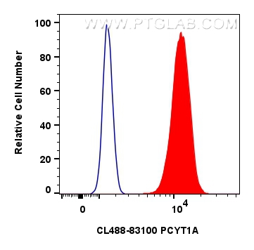 Flow cytometry (FC) experiment of A431 cells using CoraLite® Plus 488-conjugated PCYT1A Recombinant a (CL488-83100)