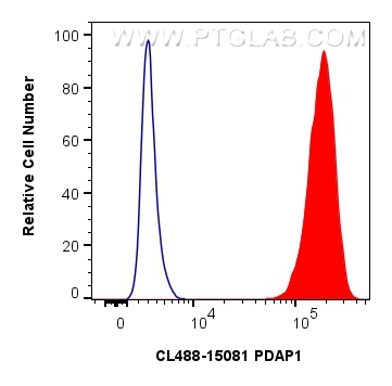 Flow cytometry (FC) experiment of MCF-7 cells using CoraLite® Plus 488-conjugated PDAP1 Polyclonal ant (CL488-15081)