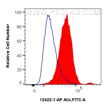 Flow cytometry (FC) experiment of HeLa cells using Alix Polyclonal antibody (12422-1-AP)