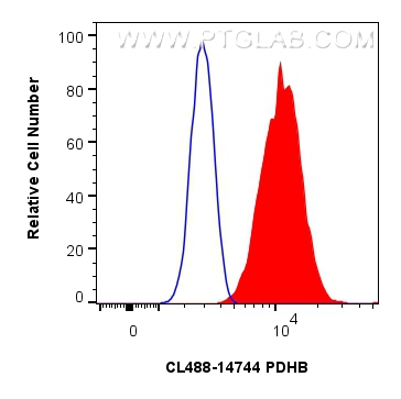 Flow cytometry (FC) experiment of HeLa cells using CoraLite® Plus 488-conjugated PDHB Polyclonal anti (CL488-14744)