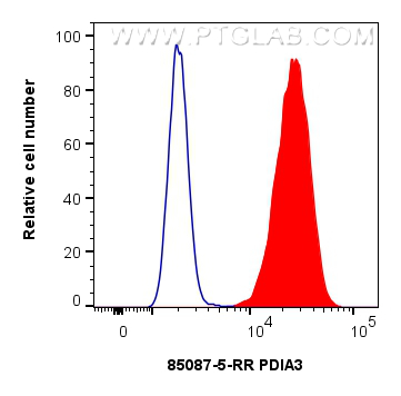 Flow cytometry (FC) experiment of HeLa cells using ERp57/ERp60 Recombinant antibody (85087-5-RR)