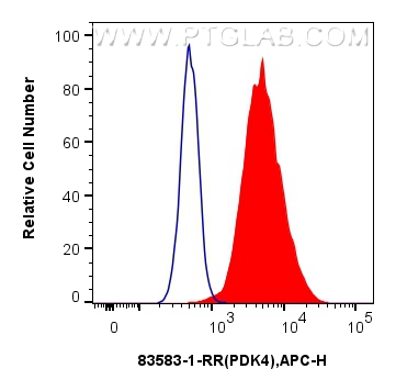 Flow cytometry (FC) experiment of HeLa cells using PDK4 Recombinant antibody (83583-1-RR)