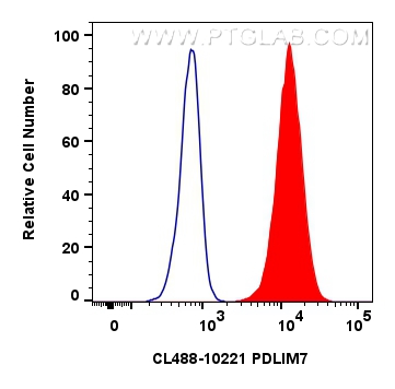 Flow cytometry (FC) experiment of HeLa cells using CoraLite® Plus 488-conjugated PDLIM7 Polyclonal an (CL488-10221)