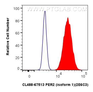 Flow cytometry (FC) experiment of HeLa cells using CoraLite® Plus 488-conjugated PER2 (isoform 1) Mon (CL488-67513)