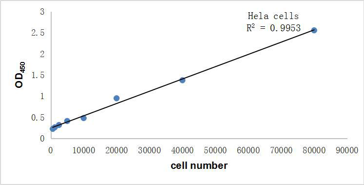 Cell Line：HeLa cell line <br>Medium：DMEM+10%FBS <br>Culture Conditions：37℃，5%CO2，add CCK-8 for 2h, 450nm R2=0.9953<br>