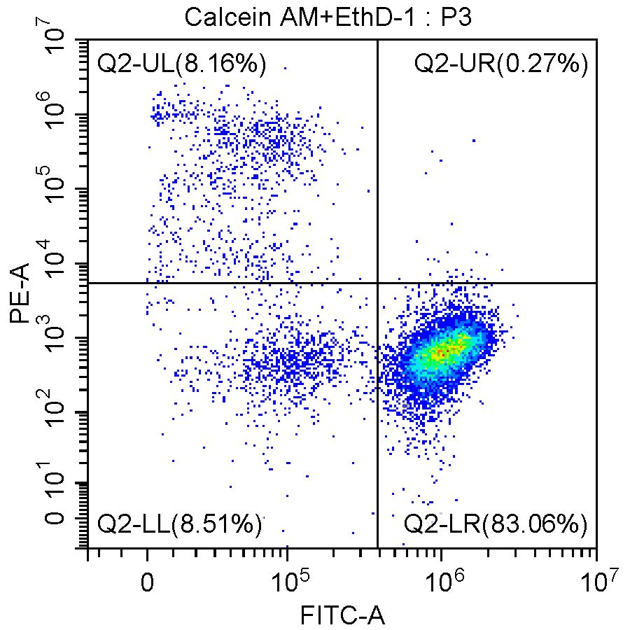 Q2-UL：Cell Group with Calcein AM -, EthD-I + (dead cells)； <br>Q2-LL：Cell Group with Calcein AM-, EthD-I - (cell debris)； <br>Q2-LR：Cell Group with Calcein AM +, EthD-I - (live cells).
