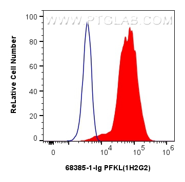 Flow cytometry (FC) experiment of HEK-293 cells using PFKL Monoclonal antibody (68385-1-Ig)