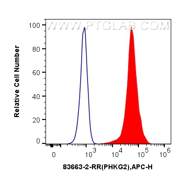 Flow cytometry (FC) experiment of HEK-293T cells using PHKG2 Recombinant antibody (83663-2-RR)