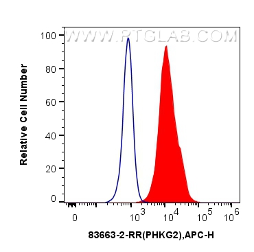 Flow cytometry (FC) experiment of HepG2 cells using PHKG2 Recombinant antibody (83663-2-RR)