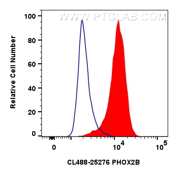 Flow cytometry (FC) experiment of Neuro-2a cells using CoraLite® Plus 488-conjugated PHOX2B Polyclonal an (CL488-25276)