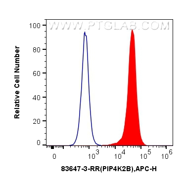 Flow cytometry (FC) experiment of A549 cells using PIP4K2B Recombinant antibody (83647-3-RR)