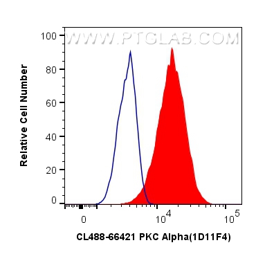 Flow cytometry (FC) experiment of HeLa cells using CoraLite® Plus 488-conjugated PKC Alpha Monoclonal (CL488-66421)