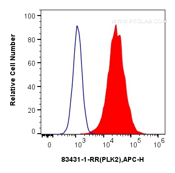 Flow cytometry (FC) experiment of A549 cells using PLK2 Recombinant antibody (83431-1-RR)