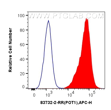 Flow cytometry (FC) experiment of U2OS cells using POT1 Recombinant antibody (83732-2-RR)