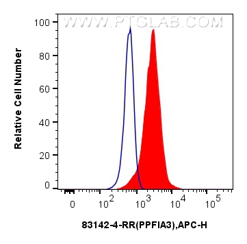 Flow cytometry (FC) experiment of U-251 cells using PPFIA3 Recombinant antibody (83142-4-RR)