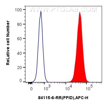 Flow cytometry (FC) experiment of HepG2 cells using PPID Recombinant antibody (84115-6-RR)